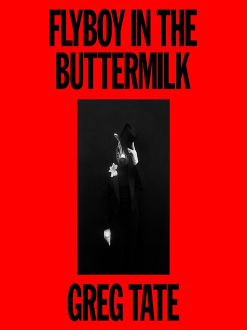 Cover image for Flyboy in the Buttermilk